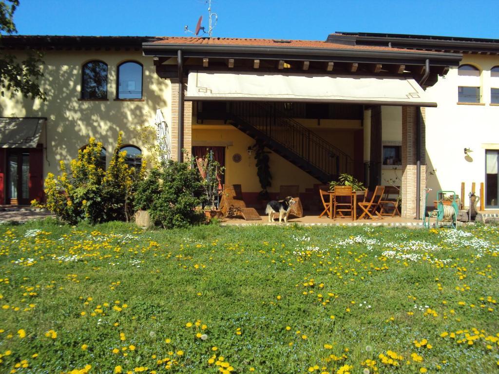 Agriturismo Ca' Del Ferro Zevio Exterior foto